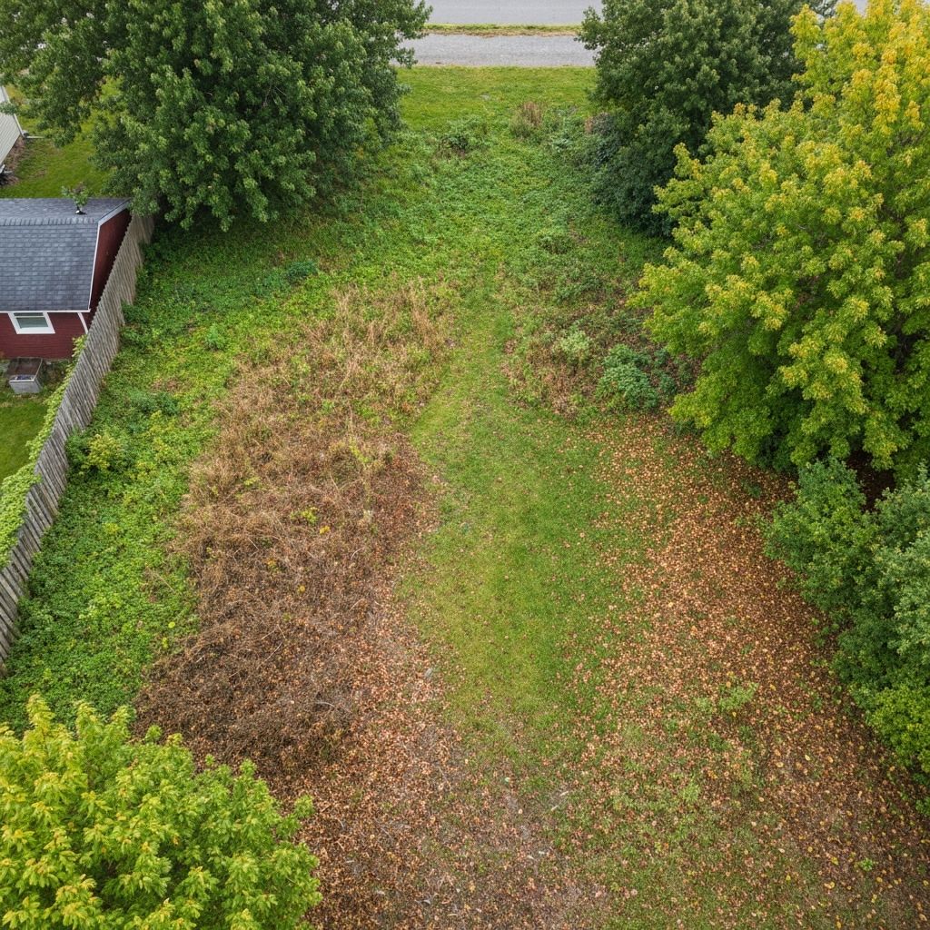 Before landscaping